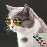 Elegant Cat Glasses