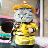 Funny Cat Party Clothes Costume