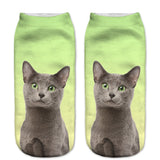 Cats 3D Printing Sock Women Unisex Low Cut Ankle Socks
