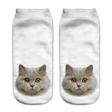 Cats 3D Printing Sock Women Unisex Low Cut Ankle Socks
