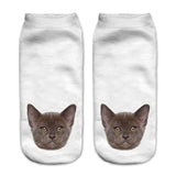 Cats 3D Printing Sock Women Unisex Low Cut Ankle Socks