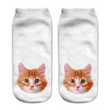 Cats 3D Printing Sock Women Unisex Low Cut Ankle Socks