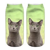 Cats 3D Printing Sock Women Unisex Low Cut Ankle Socks