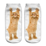 Cats 3D Printing Sock Women Unisex Low Cut Ankle Socks