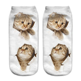 Cats 3D Printing Sock Women Unisex Low Cut Ankle Socks