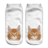 Cats 3D Printing Sock Women Unisex Low Cut Ankle Socks