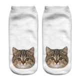 Cats 3D Printing Sock Women Unisex Low Cut Ankle Socks