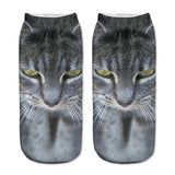Cats 3D Printing Sock Women Unisex Low Cut Ankle Socks